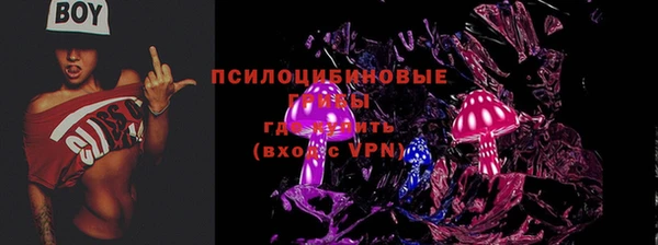 таблы Алексин