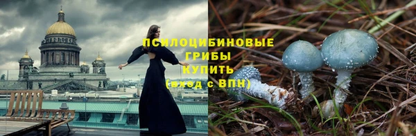таблы Алексин