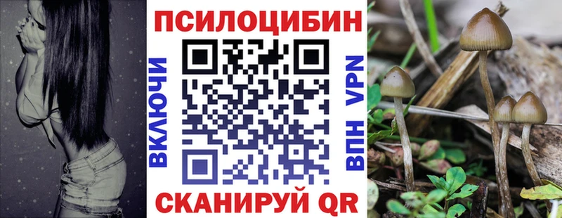 Галлюциногенные грибы ЛСД  цены   Сельцо 